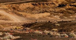 ESPN长文探讨特雷杨交易四方案，奇才之外还有两个潜在下家！