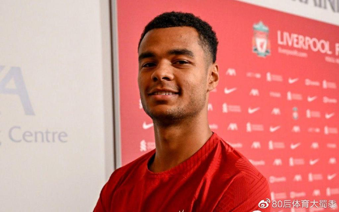 速适应球队 速适应球队